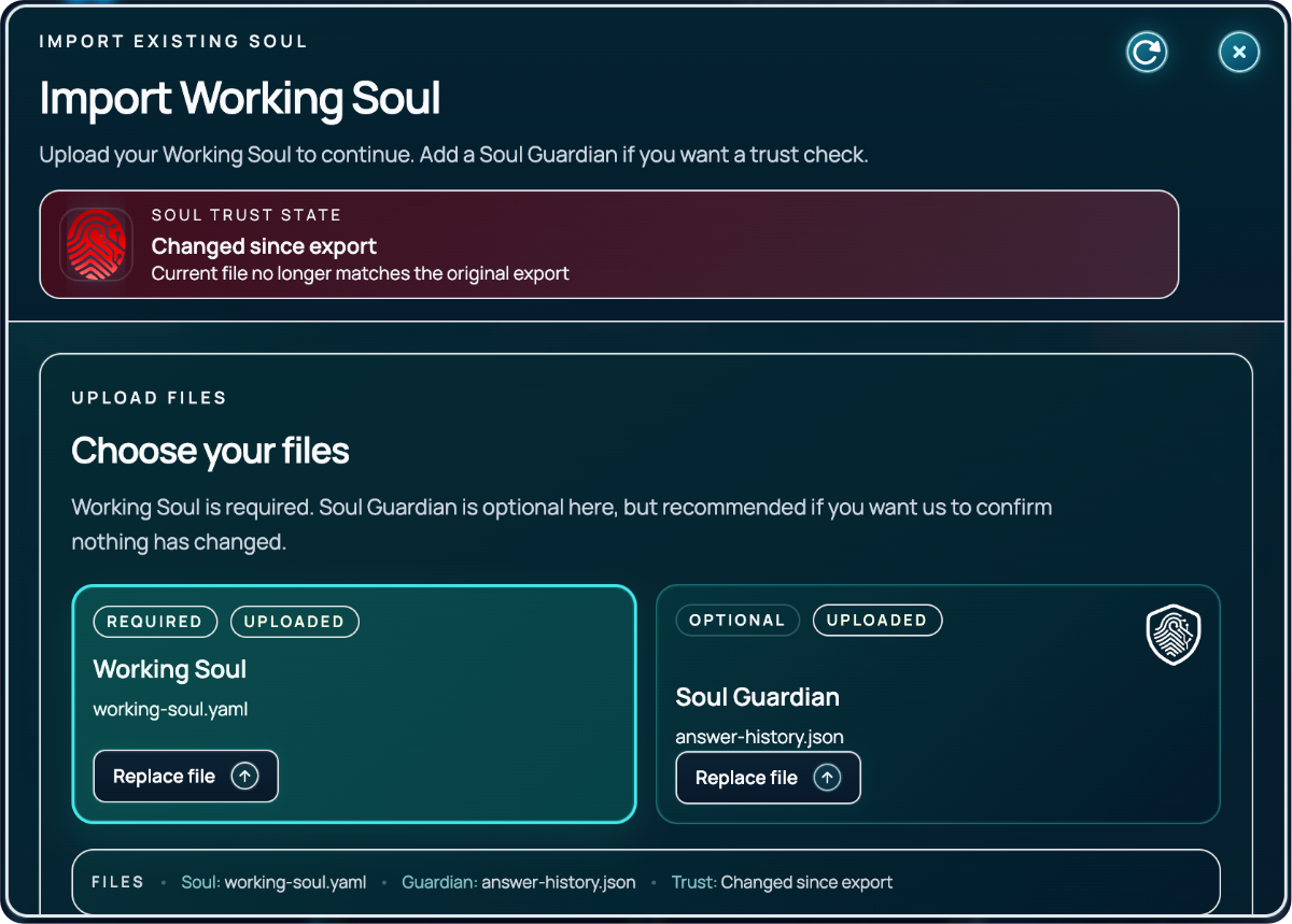 Import Working Soul changed since export state in SymSoul